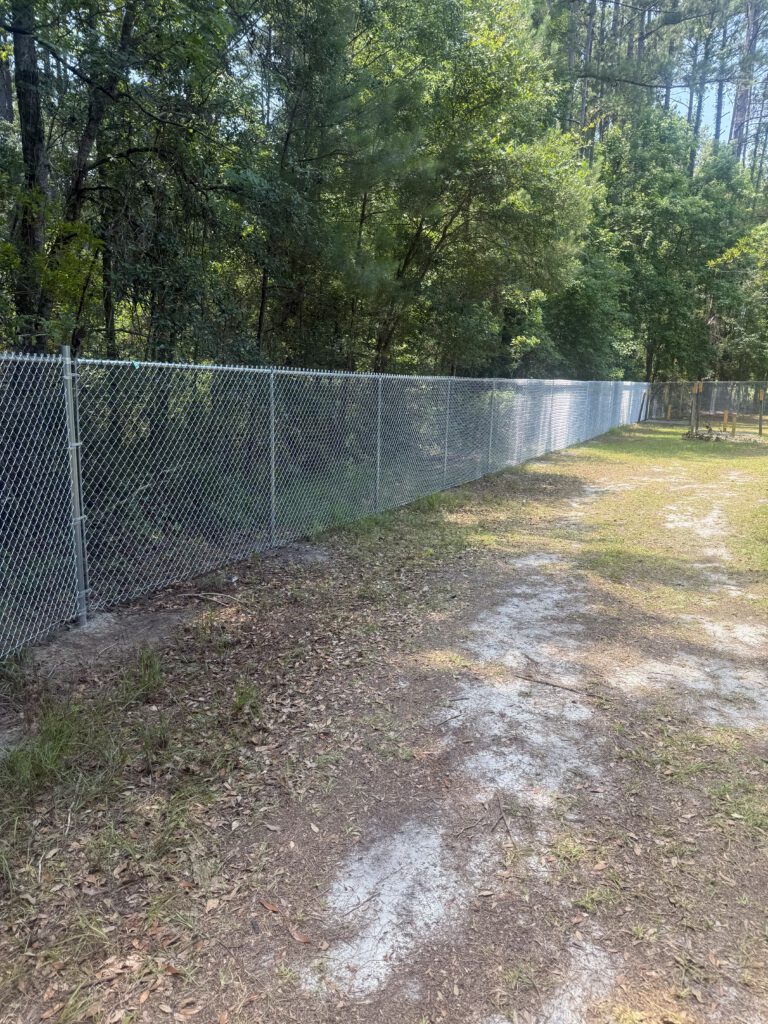 chain link fence savannah