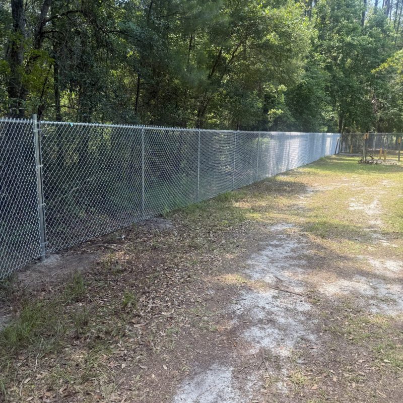 chain link fence savannah